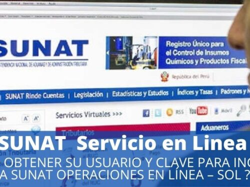 Sunat en Linea
